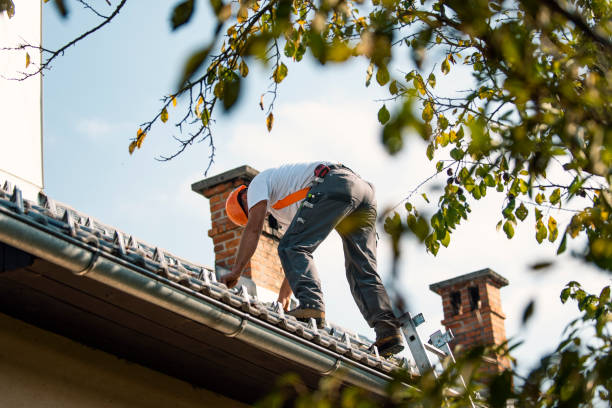 Best Roof Inspection Near Me  in Chase City, VA