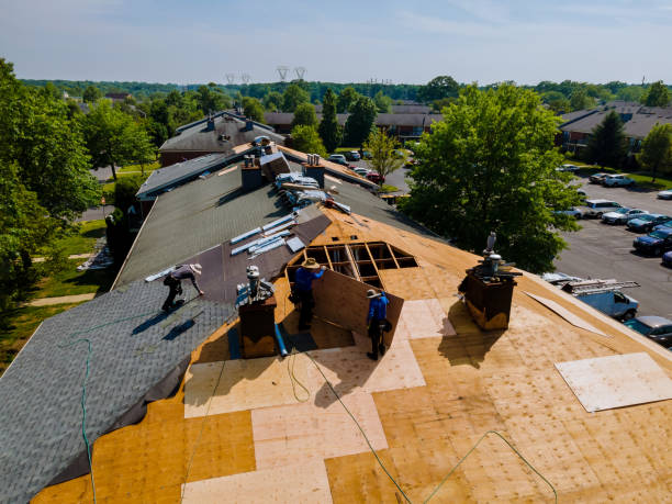 Best Roof Leak Repair  in Chase City, VA