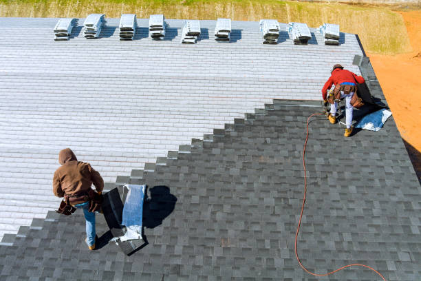 Best Shingle Roofing Installation  in Chase City, VA
