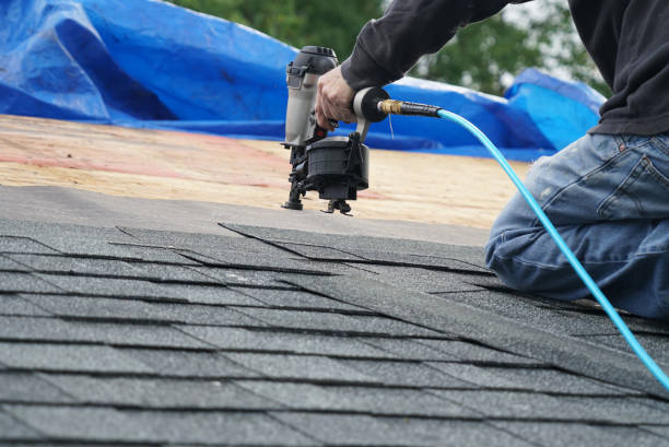 Best Gutter Installation and Roofing  in Chase City, VA