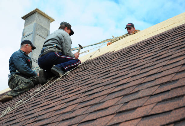 Best Shingle Roofing Installation  in Chase City, VA