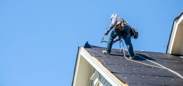 Best New Roof Installation  in Chase City, VA